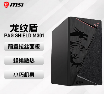 PAG SHIELD M301 龙纹盾