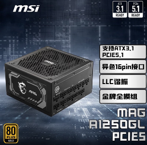 MAG A1250GL PCIE5 额定1250W 原生PCIE5.0   金牌全模组 扁平线 黑色