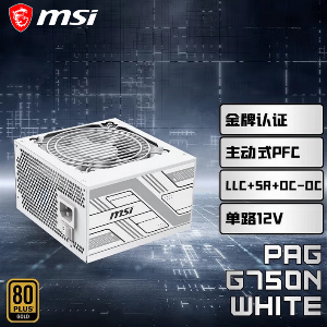PAG G750N  额定750W 金牌直出  白色