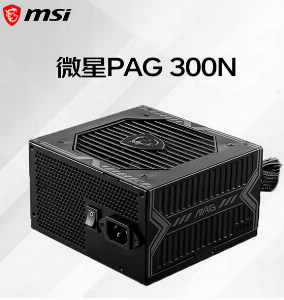 PAG 300N  额定300W