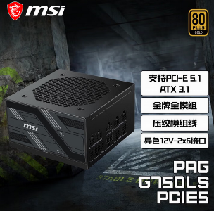 PAG G750LS PCIE5 额定750W 金牌全模组  黑色