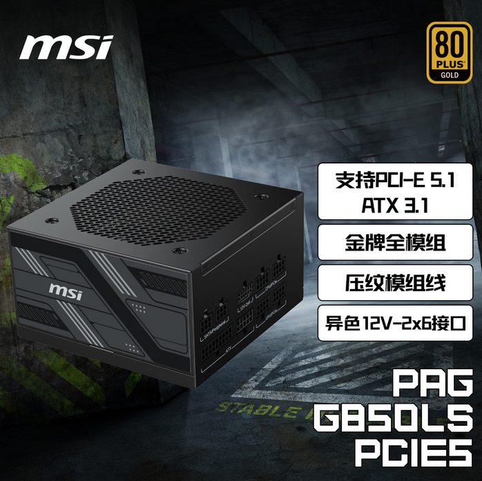 微星 PAG G850LS 额定850W 黑色 金牌全模组电脑电源